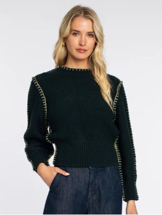 Elizabeth James Sweaters - Olivia James/ Elizabeth James Sweater 💚